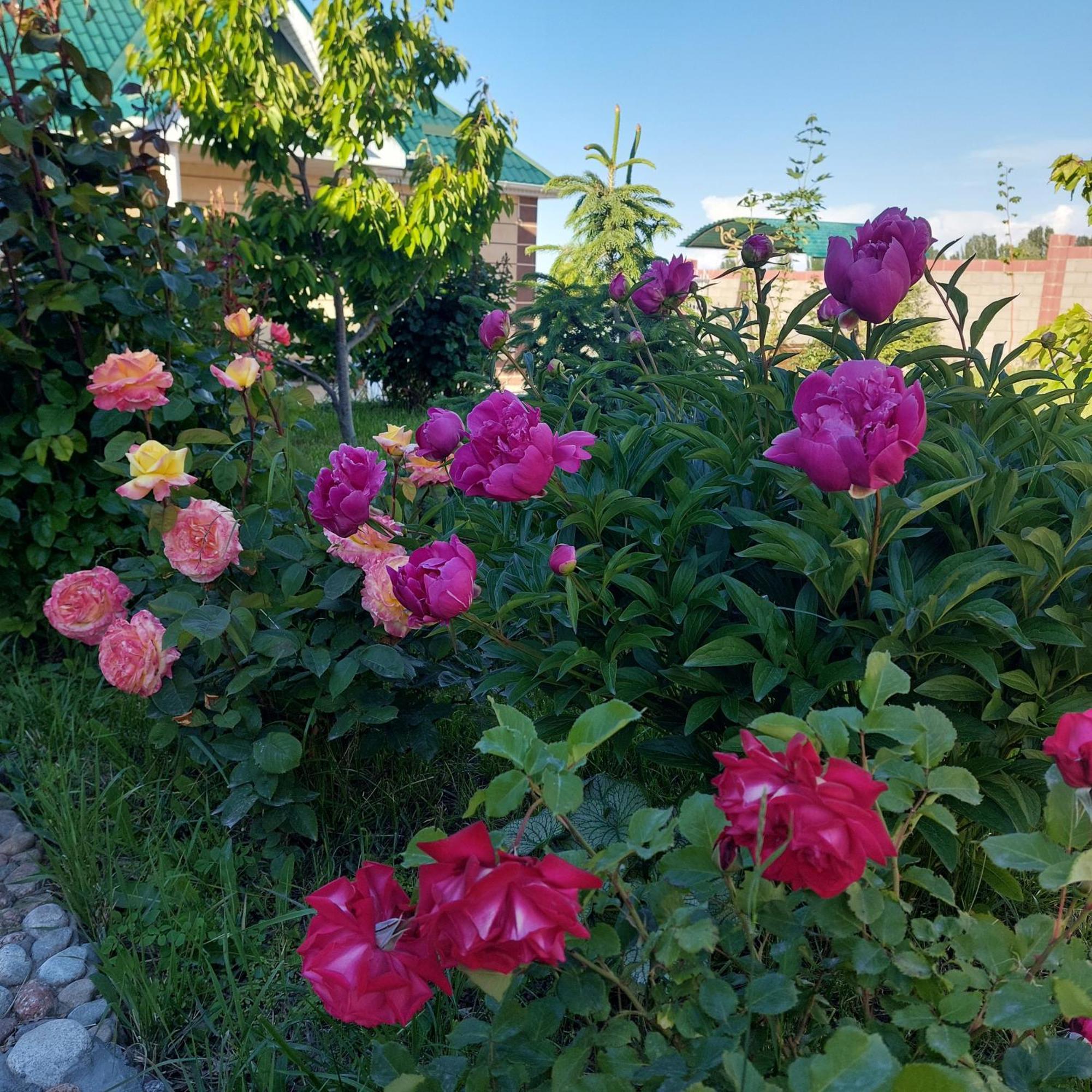 Svetlana Guest House Bokonbayevo Buitenkant foto