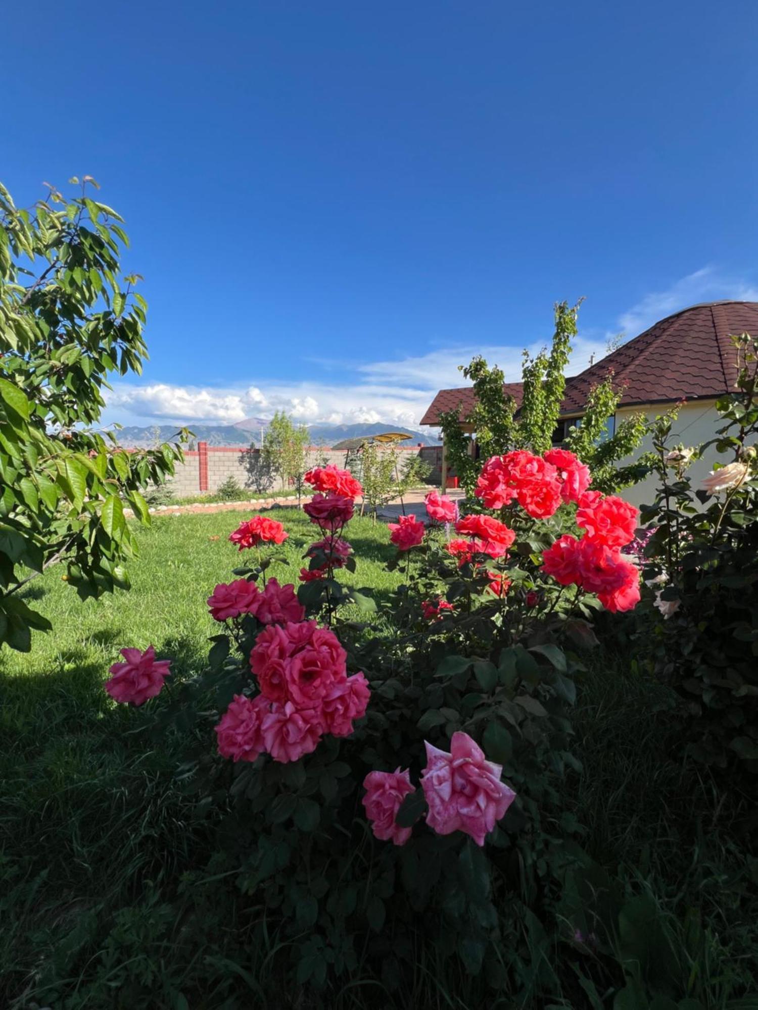 Svetlana Guest House Bokonbayevo Buitenkant foto