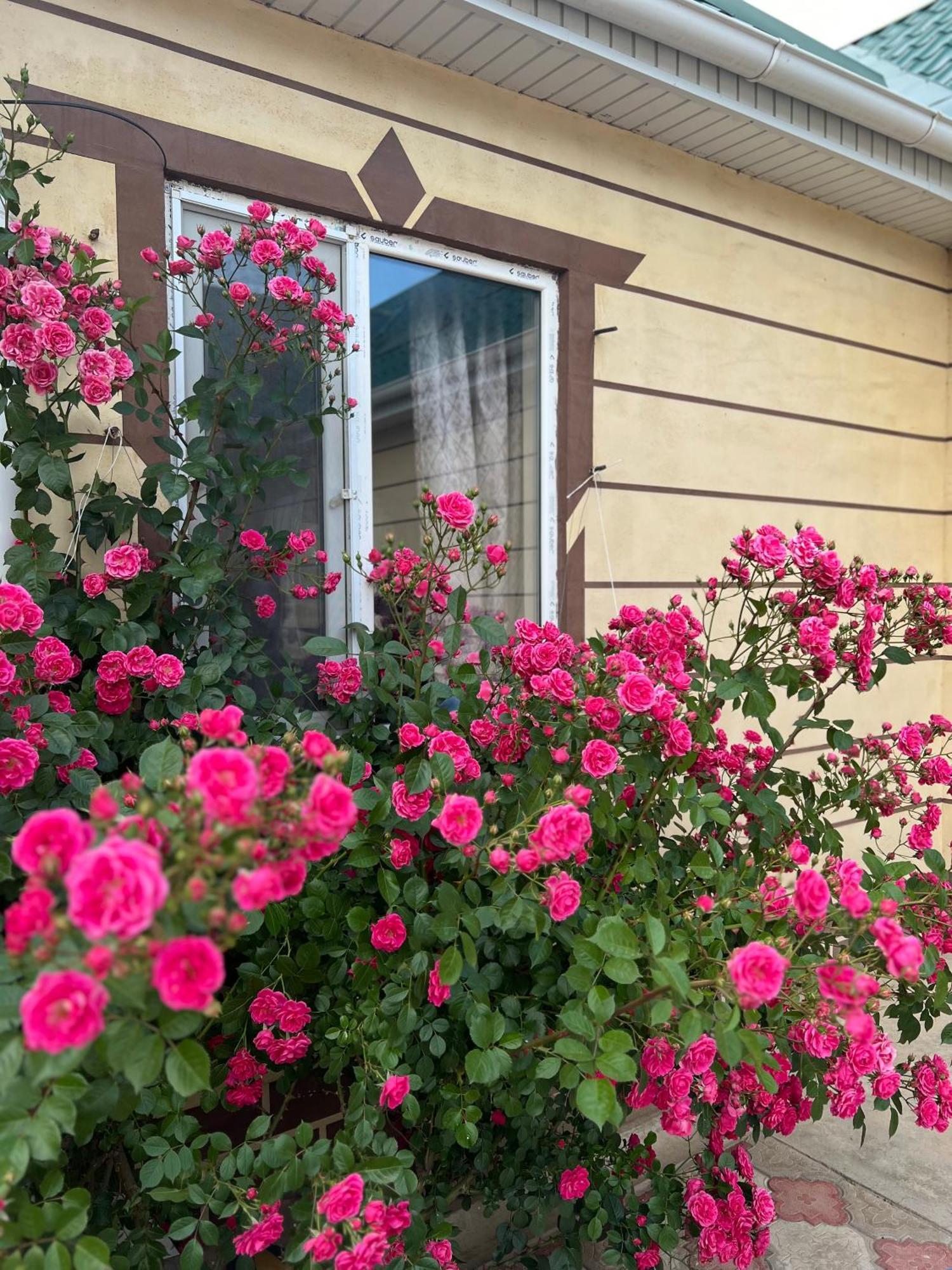 Svetlana Guest House Bokonbayevo Buitenkant foto